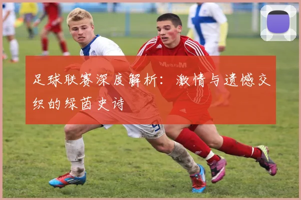 足球联赛深度解析:激情与遗憾交织的绿茵史诗